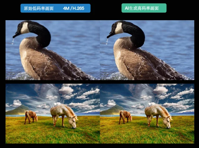 低码率输入与恢复后水鸟和草原画面对比
